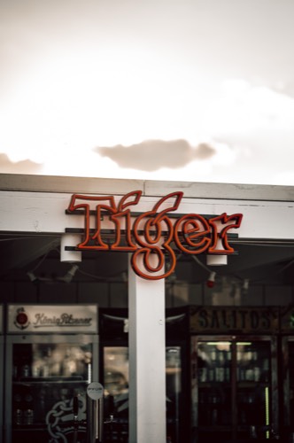 Der beleuchtete Tiger-Schriftzug über der Bar der Lil Tiger Rooftop Terrace